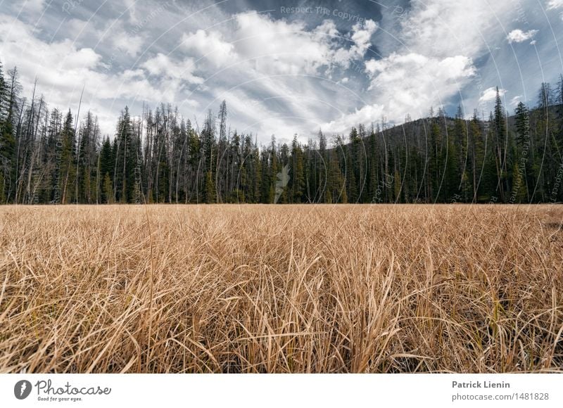 Colorado Ferien & Urlaub & Reisen Abenteuer Berge u. Gebirge Umwelt Natur Landschaft Urelemente Himmel Wolken Klima Klimawandel Wetter Pflanze Baum Park Wald