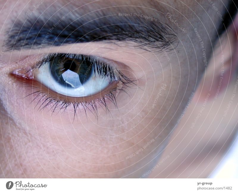 Augenblick Mann Pupille Wimpern Augenbraue Nahaufnahme Gesicht Mensch Kopf Haut