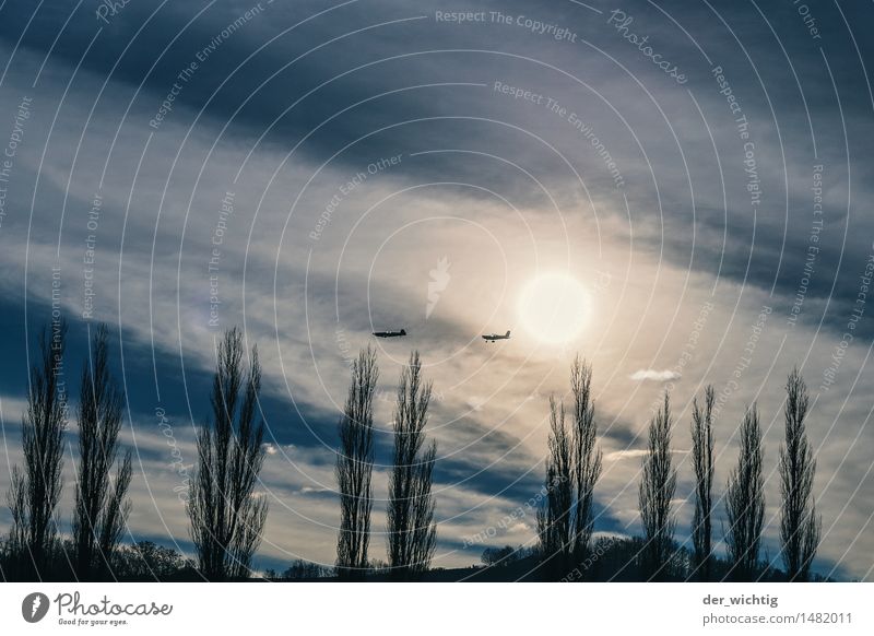 In Formation Ausflug Abenteuer Freiheit Rundflug Kunstflug Umwelt Natur Luft Himmel Wolken Sonne Sonnenlicht Schönes Wetter Baum Sträucher Hügel Verkehrsmittel