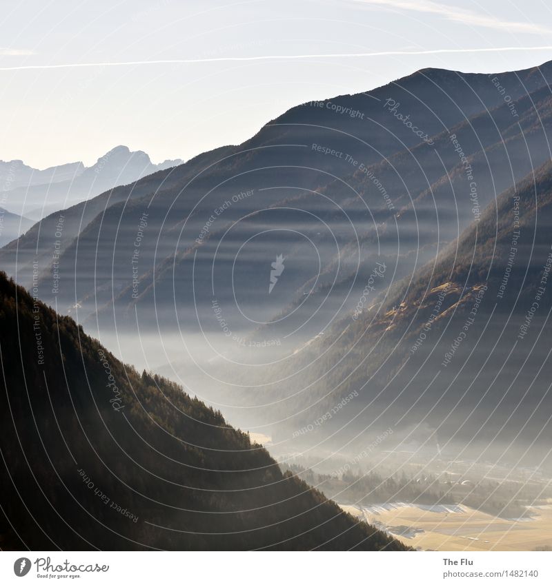 Inversionswetterlage Winter Berge u. Gebirge wandern Umwelt Natur Landschaft Pflanze Wolkenloser Himmel Sonnenlicht Klima Wetter Schönes Wetter Nebel Alpen