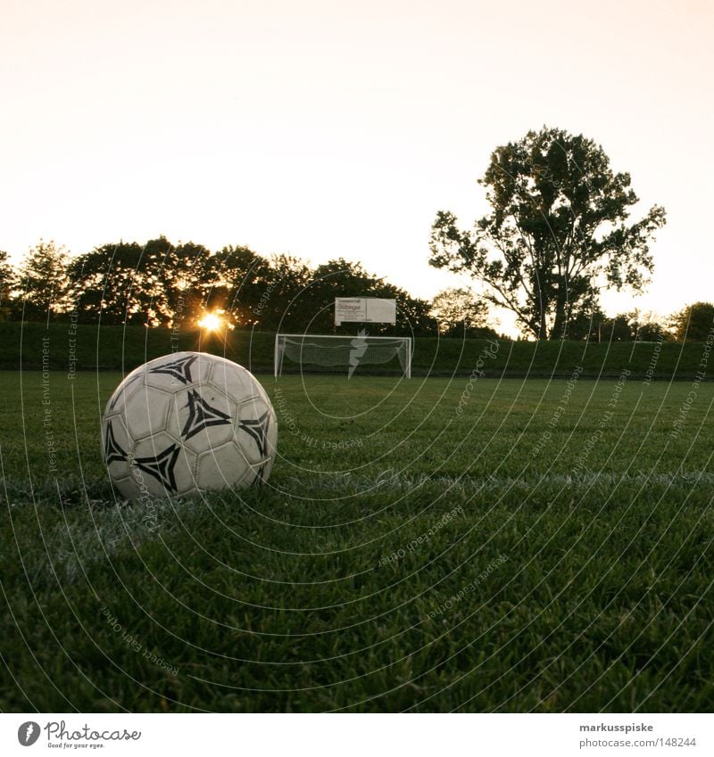 anstoss -> tor -> jubel -> sieg Fußball Weltmeisterschaft Platz Feld Spielfeld Hauptplatz UEFA Cup Südafrika Bundesliga Anstoß Sonne Sonnenuntergang