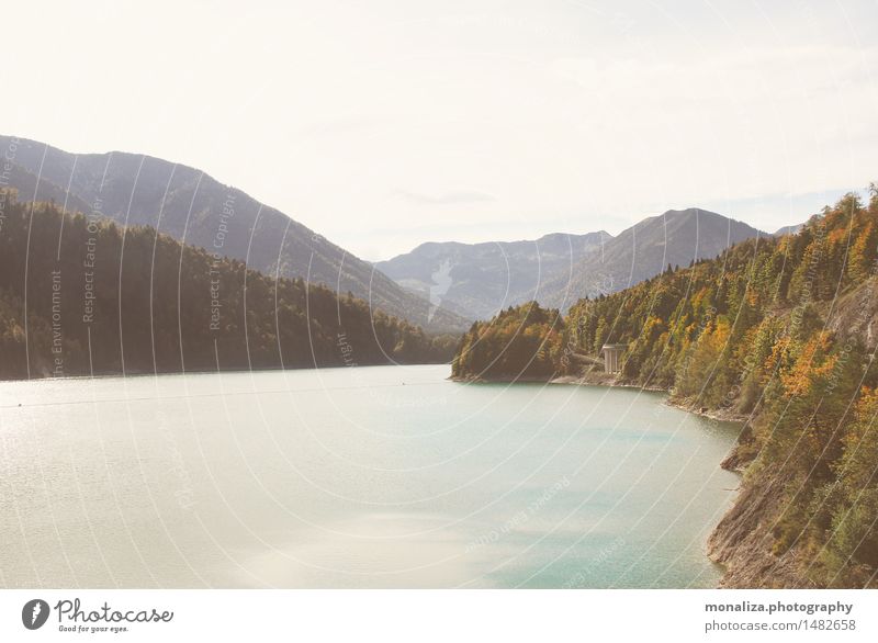 Sylvensteinspeicher Umwelt Natur Landschaft Pflanze Tier Erde Wasser Himmel Wolkenloser Himmel Herbst Schönes Wetter Berge u. Gebirge See beobachten genießen