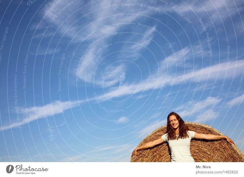 spannweite Sommer feminin Himmel Schönes Wetter Feld T-Shirt langhaarig stehen gelb weiß Glück Zufriedenheit Lebensfreude Frühlingsgefühle Stroh Strohballen