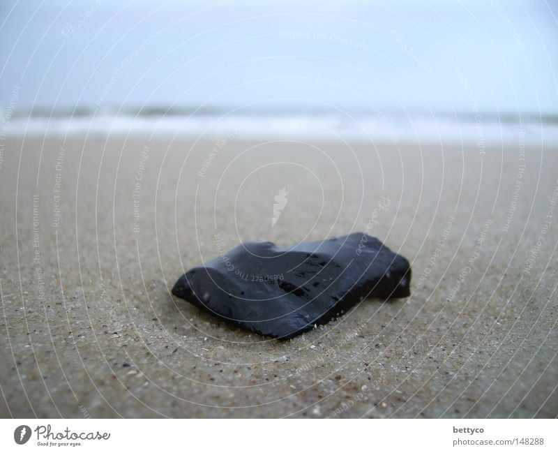 Fundstück Stein Meer Himmel Ferien & Urlaub & Reisen Wangerooge Erde Sand Strand Küste Insel Deutschland