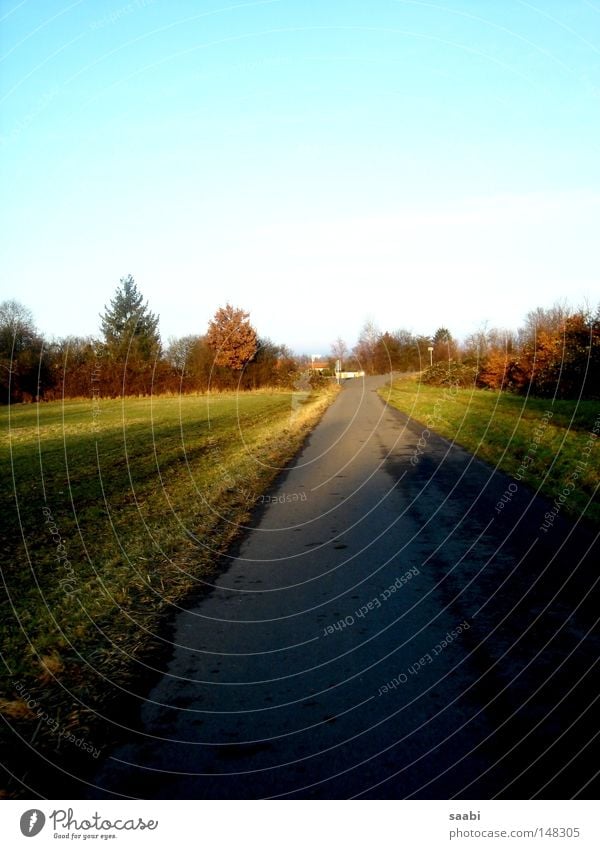 Herbsttraum ruhig Feld Einsamkeit Klarheit frisch träumen Baum Asphalt Gras Himmel Straße Aussicht