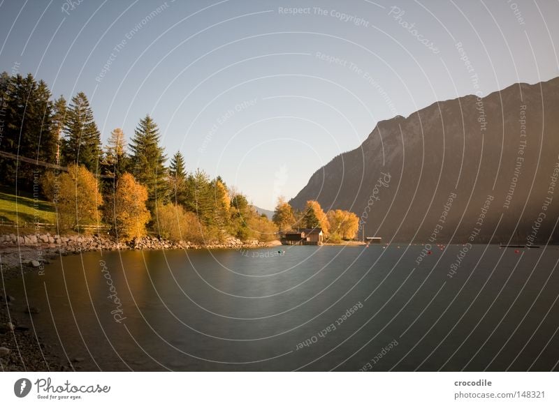 Herbstraum Achensee Bundesland Tirol See Wasser Vergänglichkeit Blatt färben gelb ruhig Frieden Langzeitbelichtung Gebirgssee Berge u. Gebirge Alpen Himmel