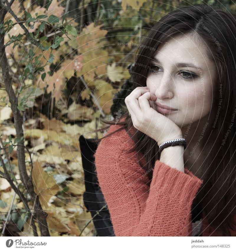 beautiful creation Herbst Natur Blatt Frau Gesicht warten Blick Baumstamm spontan Erwartung Hoffnung Sehnsucht gelb rot braun schön Momentaufnahme