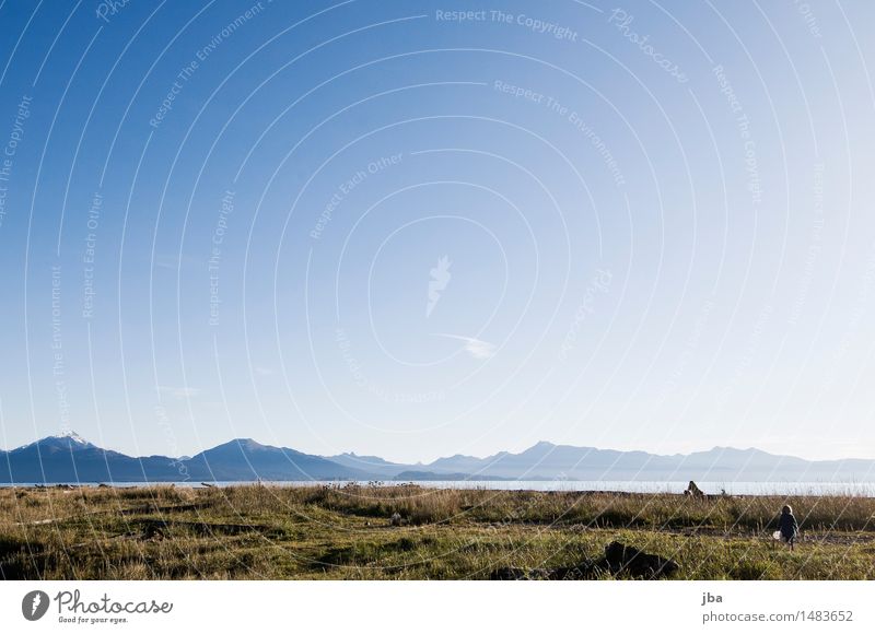 zum Strand - Alaska 18 Leben Erholung Ausflug Ferne wandern Kindererziehung Natur Landschaft Himmel Sonnenlicht Herbst Schönes Wetter Gras Küste Meer Homer