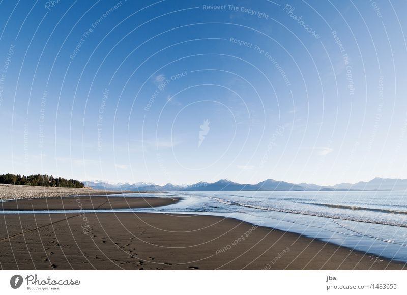 am Strand - Alaska 20 Wohlgefühl Erholung Ferien & Urlaub & Reisen Ferne Freiheit Meer Wellen Natur Landschaft Urelemente Herbst Schönes Wetter Küste homer blau