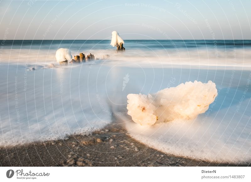 Scholle Natur Landschaft Sand Wasser Himmel Wolkenloser Himmel Horizont Winter Wetter Schönes Wetter Wind Eis Frost Küste Strand Ostsee Meer blau braun weiß