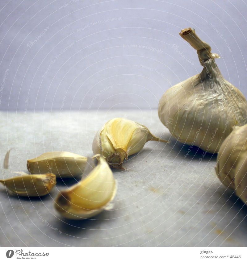 Gesund, lecker und hilft gegen Vampire Gesundheit grau weiß Knoblauch Geruch angenehm streng herzhaft Mahlzeit Heilpflanzen Zehen Zwiebel Mundgeruch