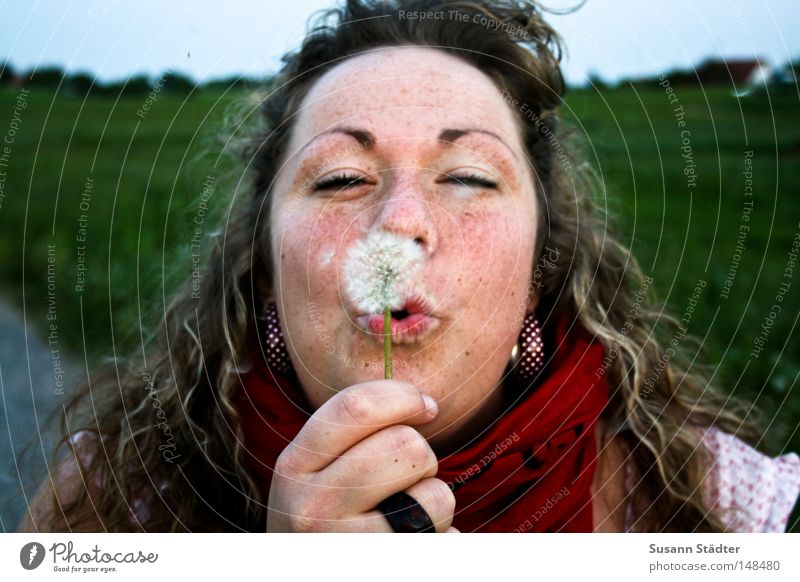 PusteSuse Löwenzahn Staubfäden Pollen blasen Locken Ohrringe blond Frau feminin Holz Ring Hand Arme Auge Leinen Sommer Physik Abend Feld Wiese Landwirtschaft