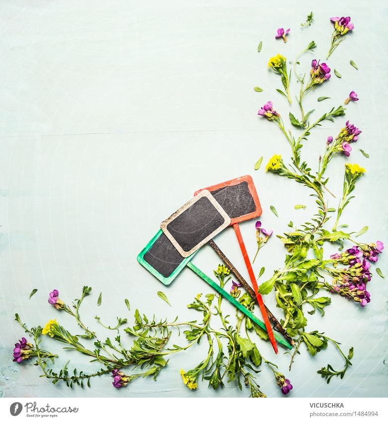 Frühling oder Sommer Pflanzen mit drei Gartenschild Design Natur Blume Blatt Blüte Grünpflanze Wildpflanze Holz Stil Hintergrundbild Schilder & Markierungen