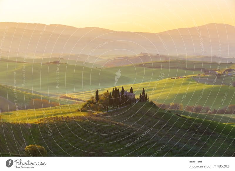 Bauernhaus in der Toskana vor einem Sonnenaufgang Panorama Haus Natur Landschaft Wolkenloser Himmel Baum Wiese Feld Hügel blau grün Idylle Ferne bauernhaus