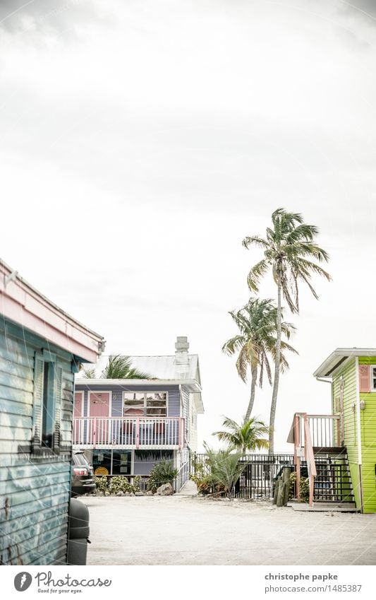 Unter Palmen Ferien & Urlaub & Reisen Tourismus Ferne Sommer Sommerurlaub Häusliches Leben Haus Traumhaus Florida USA Kleinstadt Stadtrand Menschenleer