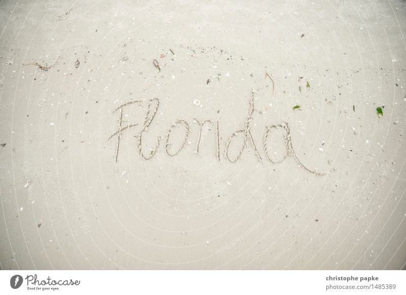 Welcome to ... Ferien & Urlaub & Reisen Tourismus Ferne Sommer Sommerurlaub Strand Meer Umwelt Natur Landschaft Sand Küste Seeufer Florida USA Schriftzeichen