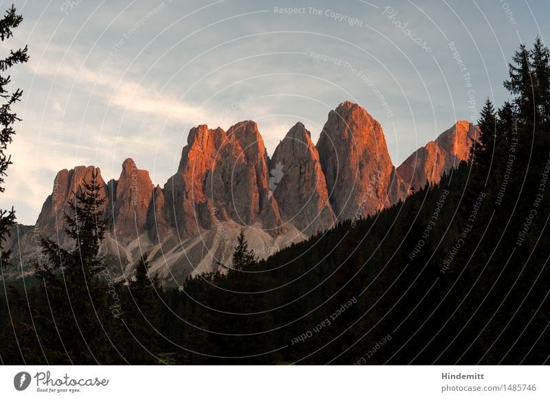 Alpenglüh Umwelt Natur Landschaft Pflanze Himmel Wolken Sommer Schönes Wetter Baum Wald Hügel Felsen Berge u. Gebirge Dolomiten Geislergruppe Gipfel stehen