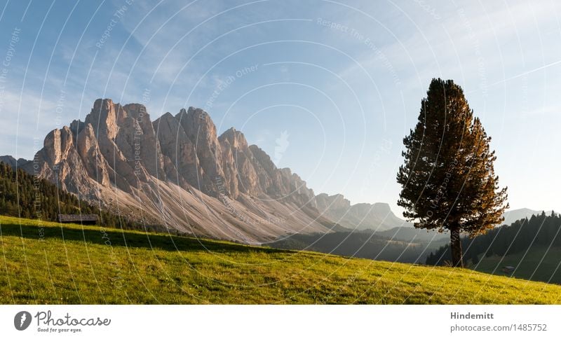 Gegen Abend Ferien & Urlaub & Reisen Tourismus Sommerurlaub wandern Umwelt Natur Landschaft Pflanze Himmel Wolken Klima Wetter Schönes Wetter Baum Wiese Wald