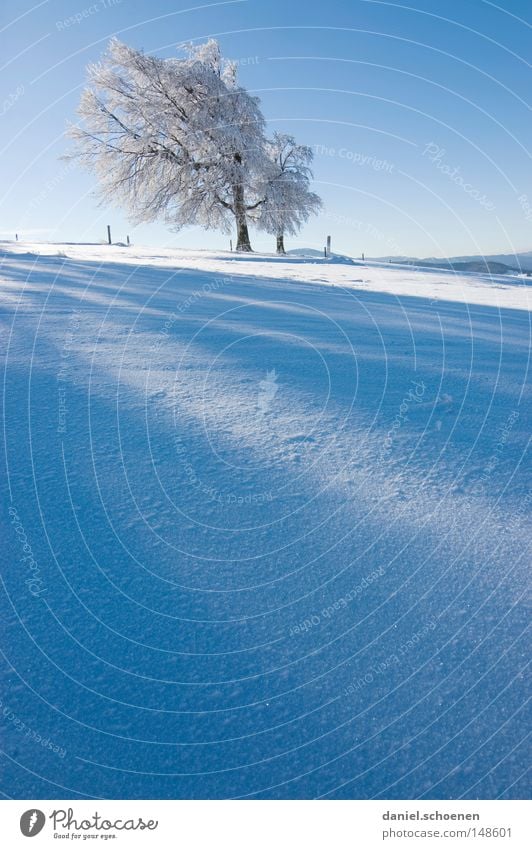 neue Weihnachtskarte 7 Sonnenstrahlen Winter Schnee Schwarzwald weiß Tiefschnee wandern Freizeit & Hobby Ferien & Urlaub & Reisen Hintergrundbild Baum