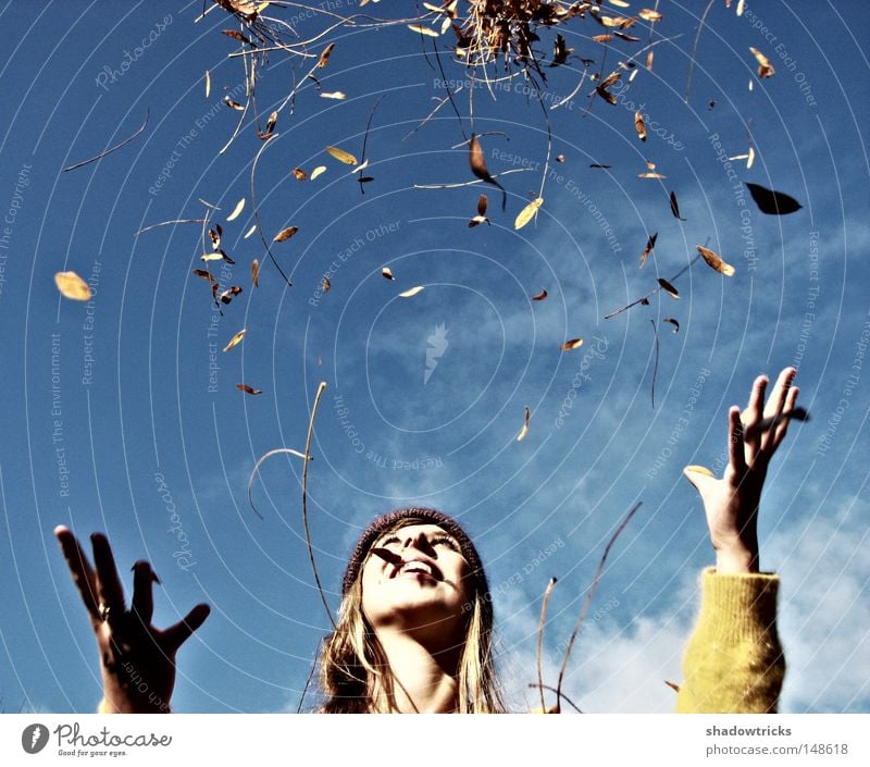 Hallo Herbst! Blatt Spielen Frau Regen Jahreszeiten kalt hell Himmel Wolken Hrbst Freude fallen blau