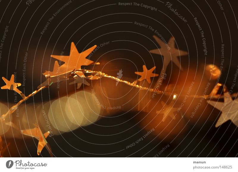 Weihnachtssterne Weihnachten & Advent Weihnachtsdekoration glänzend Stimmung festlich Schmuck gelb Dezember Winter Dekoration & Verzierung Stern (Symbol)