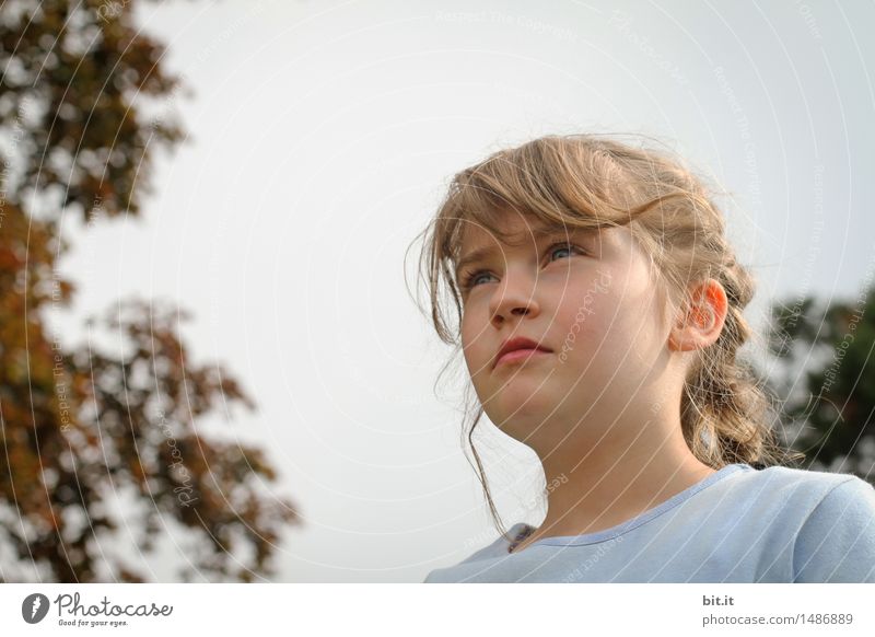 was ist da vorn ? Mensch feminin Kind Mädchen Kindheit Traurigkeit Angst beobachten Neugier Farbfoto Blick nach vorn Porträt Natur