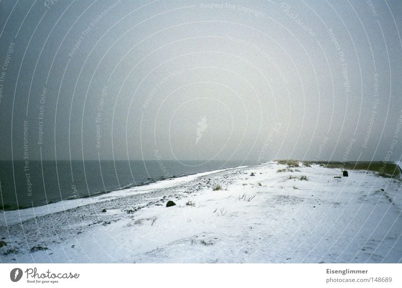 Ostsee-Kälte Strand Meer Insel Winter Schnee Wasser Eis Frost Küste dunkel Stranddüne Düne Fehmarn Farbfoto Außenaufnahme Menschenleer Textfreiraum links