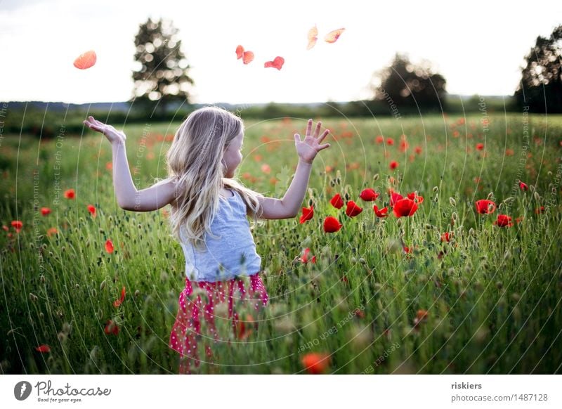 Sommerlaune Mensch feminin Kind Mädchen Kindheit 1 3-8 Jahre Frühling Schönes Wetter Mohnfeld Feld Blühend Erholung Lächeln leuchten Blick stehen werfen blond