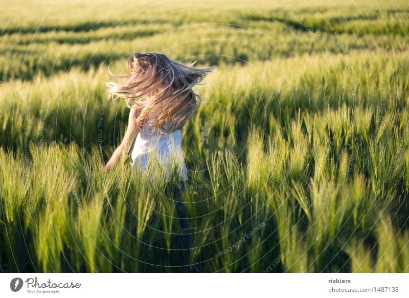 sommerlaune Mensch feminin Kind Mädchen Kindheit 1 3-8 Jahre Natur Sommer Schönes Wetter Feld entdecken Erholung Spielen Tanzen blond frei Fröhlichkeit frisch