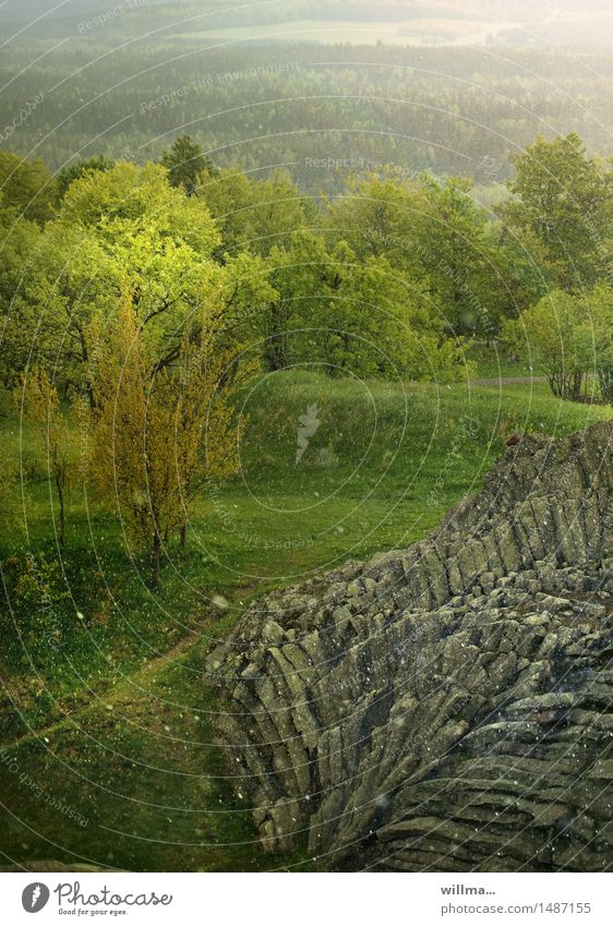 Es schneit im Frühling im Erzgebirge Bäume Felsen Schneeflocken Fächerbasalt Basalt Satzung Mittelgebirge grün Schneefall Mai Natur Landschaft Hirtstein April