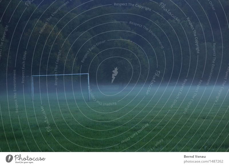 Verschleierungstaktik Sport Ballsport Sportstätten Fußballplatz Stimmung Rasen Fußballtor Nebel Herbst unklar trüb Natur Baum Wald Einsamkeit Schwarzweißfoto