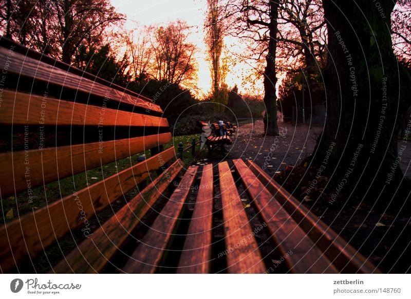 Parkbank im Herbst Oktober November Dämmerung Abend Sonnenuntergang Menschenleer Vakuum Trauer Totensonntag Perspektive Victoriapark Kreuzberg Garten