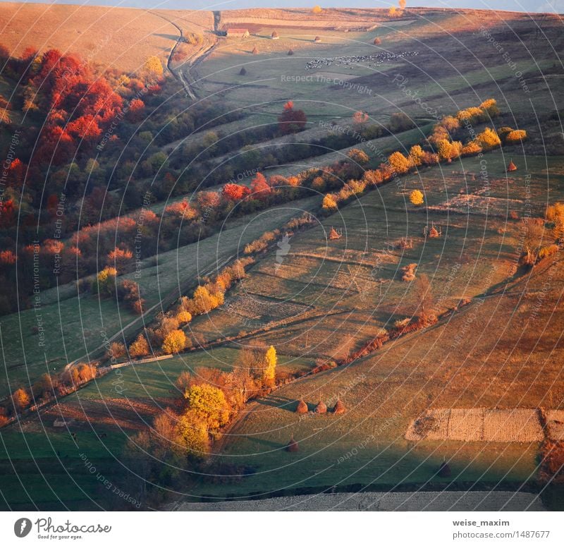 Herbstabend in einem Bergdorf. Sonnenuntergang Licht. Ferien & Urlaub & Reisen Berge u. Gebirge Garten Kultur Natur Landschaft Schönes Wetter Baum Gras