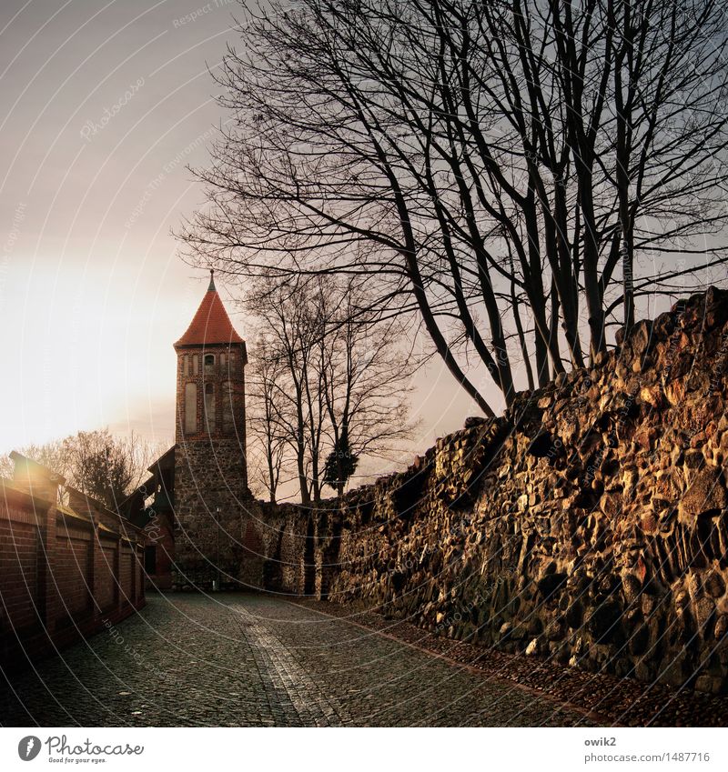 Jüterbog, Stadtmauer Wolkenloser Himmel Baum Zweige u. Äste Brandenburg Deutschland Kleinstadt Altstadt Turm Bauwerk Gebäude Mauer Wand Mauerstein