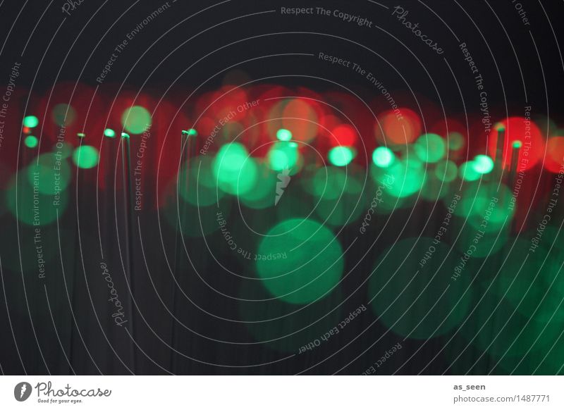 Green lights Design Leben Nachtleben Lounge clubbing Tanzen Halloween Silvester u. Neujahr Technik & Technologie Unterhaltungselektronik Wissenschaften