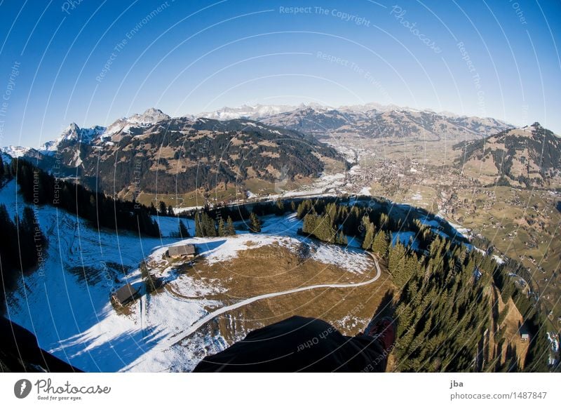 schöne Aussicht Lifestyle Erholung ruhig Ausflug Ferne Berge u. Gebirge Sport Gleitschirmfliegen Landschaft Urelemente Luft Himmel Winter Schönes Wetter Tanne