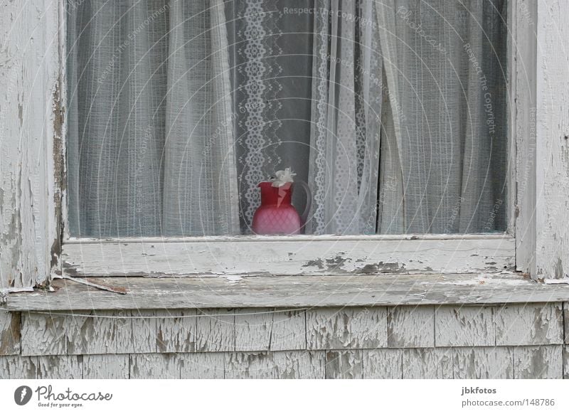 bin mal wieder weg... Fenster Fensterbrett Gardine hängen Fensterrahmen Vase rosa Reflexion & Spiegelung weiß grau gelb braun blau verfallen trist antik