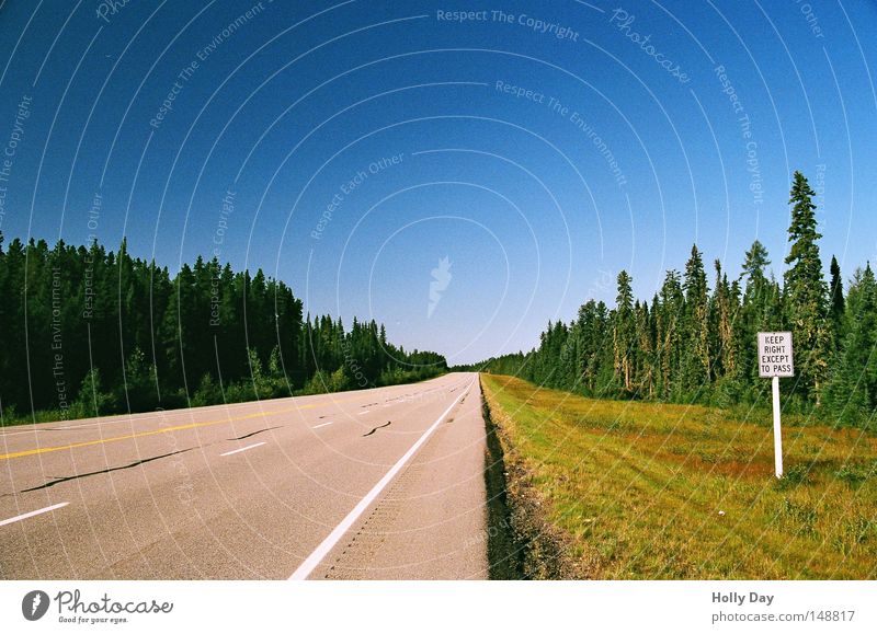 Langsame bitte rechts Pol- Filter Schilder & Markierungen Hinweisschild Zeichen Warnhinweis Straße Wege & Pfade Autobahn 11 Wald leer Wiese Straßenrand Riss