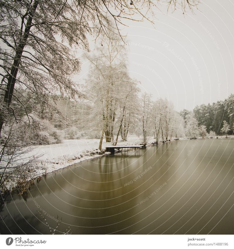 Still ruht der See im Winter Natur Eis Frost Schnee Seeufer Franken authentisch kalt Romantik ruhig Idylle Inspiration Klima Eislandschaft Kulturlandschaft