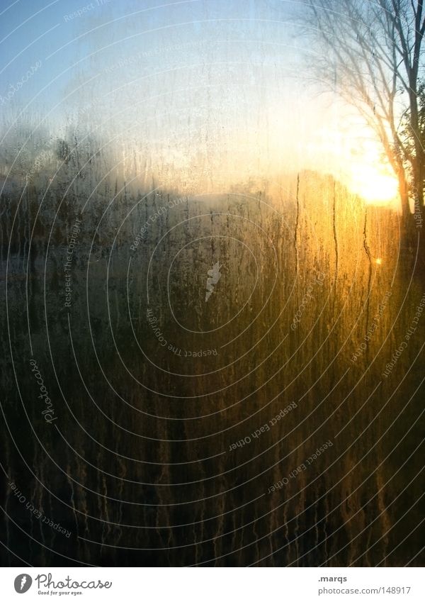 Schmutziger Abgang Farbfoto Gedeckte Farben Innenaufnahme Experiment abstrakt Textfreiraum unten Dämmerung Sonne Herbst Garten Glas außergewöhnlich dreckig