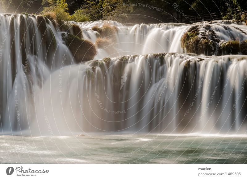 laufen lassen Natur Landschaft Pflanze Wasser Sommer Wetter Schönes Wetter Gras Sträucher Moos Felsen Flussufer Wasserfall Menschenleer braun grün weiß fließen