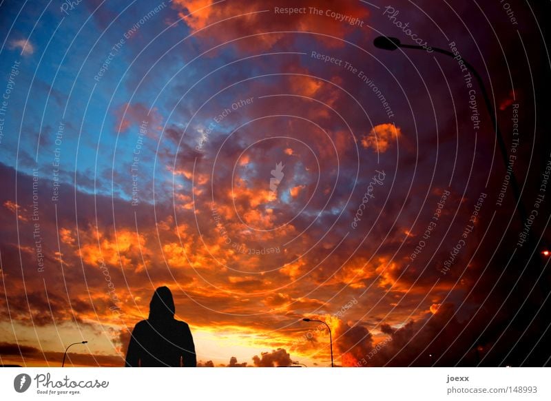 Der Himmel brennt Abend Abenddämmerung Abschied Gegenlicht gehen Desaster Junge Frau Lampe Lichtstrahl Morgen orange Retter Sonnenaufgang Sonnenstrahlen