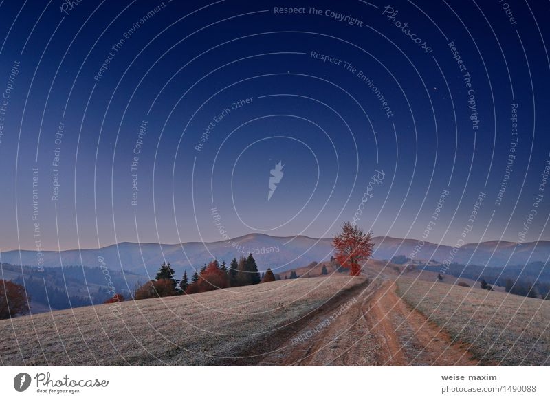 Karpaten-Berge Dämmerung Ferien & Urlaub & Reisen Berge u. Gebirge Natur Landschaft Himmel Nachthimmel Herbst Eis Frost Baum Gras Sträucher Wiese Wald Hügel