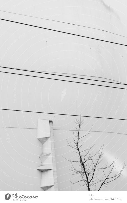 linien Herbst Baum Gebäude Architektur Mauer Wand Fassade Linie trist komplex karg Neigung Schwarzweißfoto Außenaufnahme Menschenleer Tag