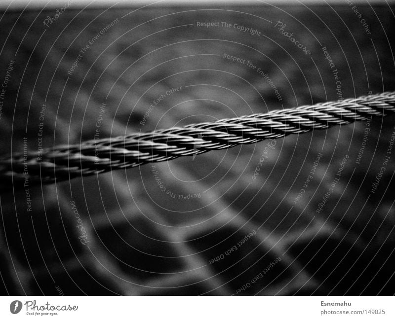 An einem Strang ziehen Köln Rhein Rheinauhafen Flussufer Stahlkabel Schnur Bodenbelag Fliesen u. Kacheln Schatten schwarz weiß dunkel Verkehrswege
