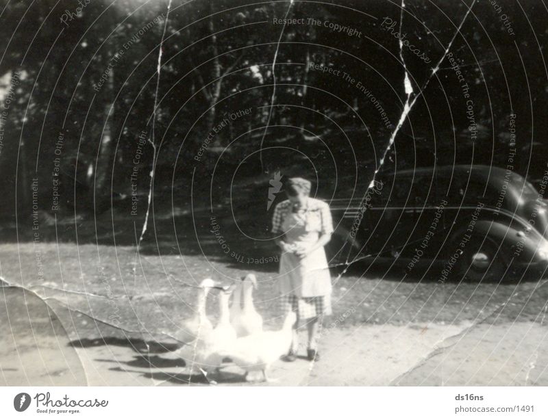 A Lady feeding birds Dame Mensch very old picture of some long ago