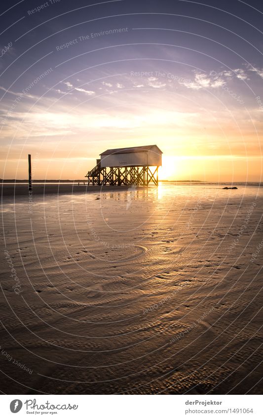 Morgens am Toilettenhäuschen Ferien & Urlaub & Reisen Tourismus Ausflug wandern Umwelt Natur Landschaft Pflanze Schönes Wetter Wellen Küste Strand Nordsee Meer