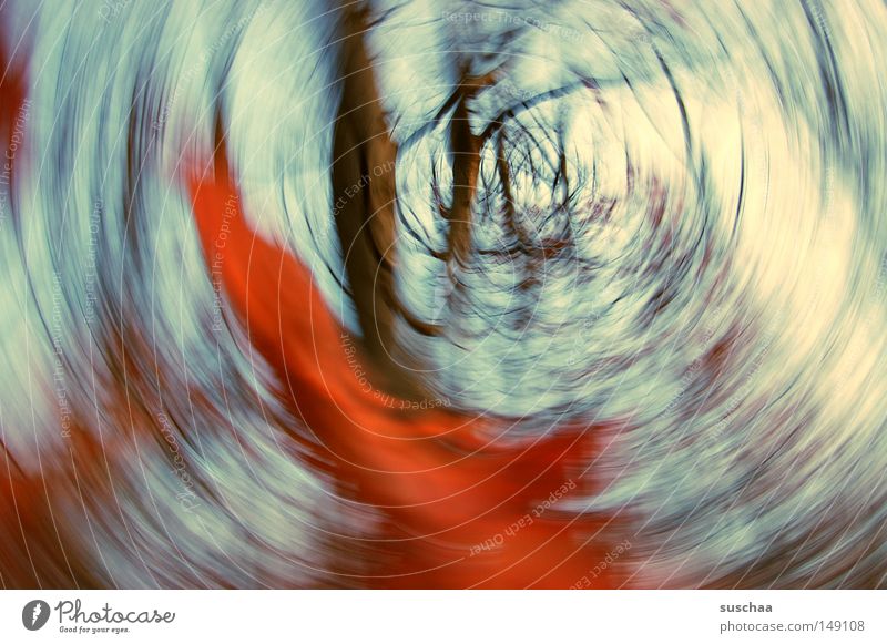 im strudel der jahreszeiten Wald Baum Baumstamm Ast Himmel Herbst Saison Winter abstrakt Natur Landschaft Unterholz Luft rot Blatt Unschärfe träumen gedreht