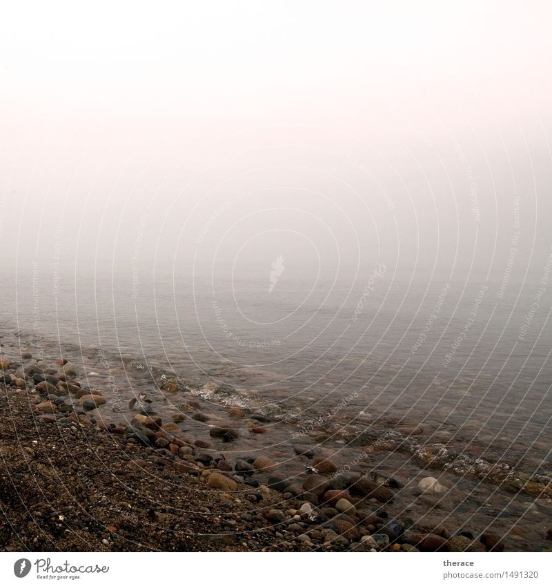 Winterostsee Strand Meer Wellen wandern Landschaft Küste Ostsee Stein Wasser Unendlichkeit trösten dankbar Vorsicht Gelassenheit geduldig ruhig Sehnsucht