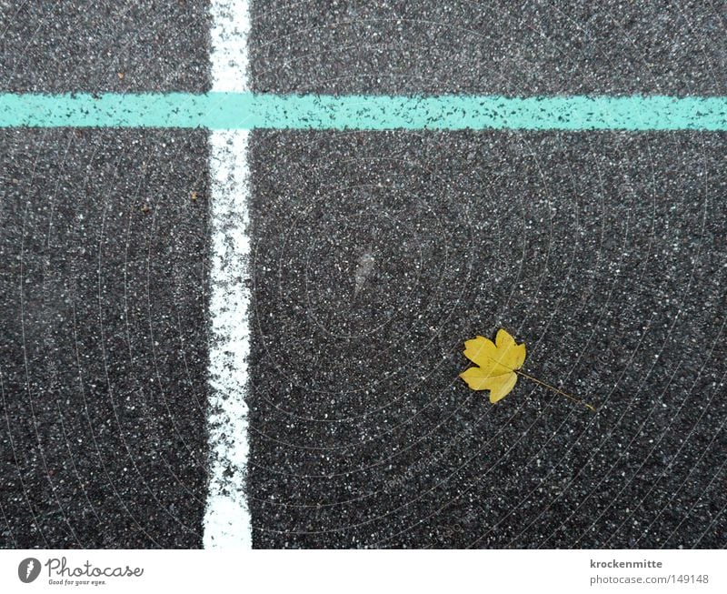 Nature Morte Blatt gelb Herbst liegen Linie weiß hell-blau Asphalt Boden Kreuz Christliches Kreuz kreuzen durchkreuzen Jahreszeiten herbstlich Spielfeld